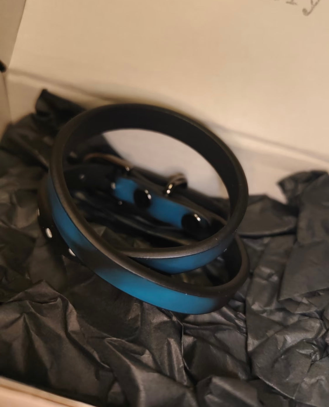Double loop band